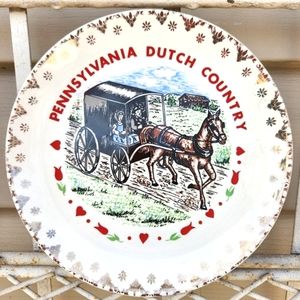 Vintage Pennsylvania Dutch Country Plate